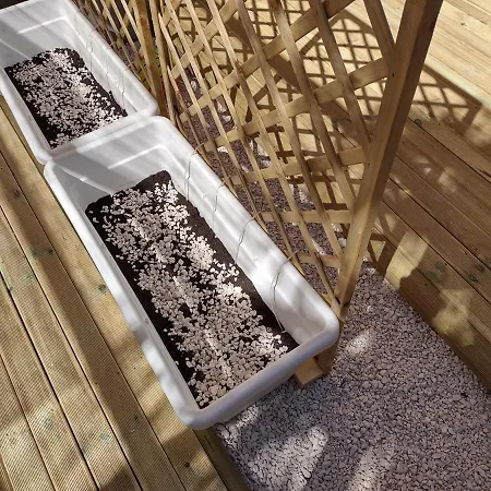 Dom wakacyjny Corallo With Private Garden *