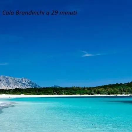 Dom wakacyjny Corallo With Private Garden