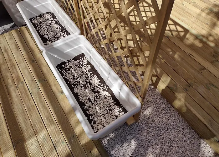 Hébergement de vacances Corallo With Private Garden *