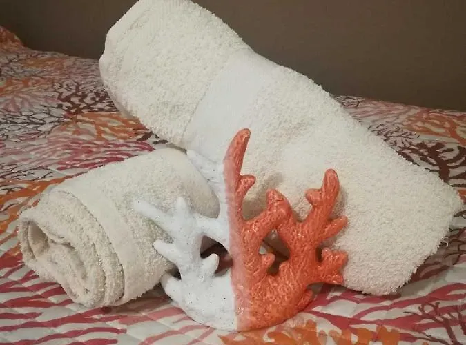 Corallo With Private Garden Olbia