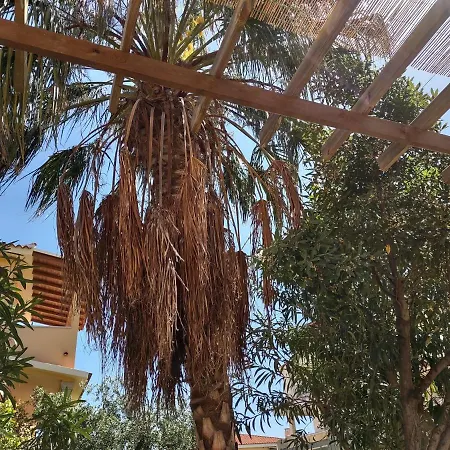 Corallo With Private Garden בית נופש אולביה