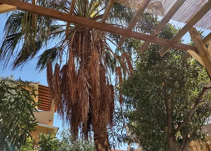 Corallo With Private Garden Semesterbostad Olbia