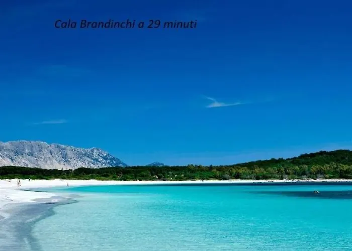 Casa vacanze Corallo With Private Garden